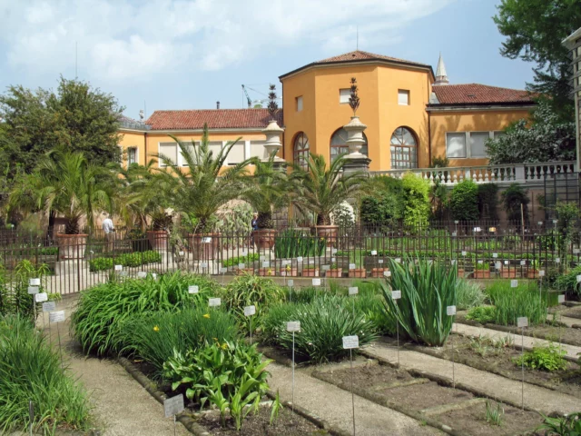 Orto Botanico di Padova