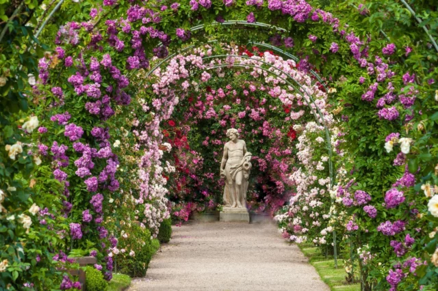 Roseto del Parco di Baden-Baden, Germania