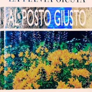 La pianta giusta al posto giusto