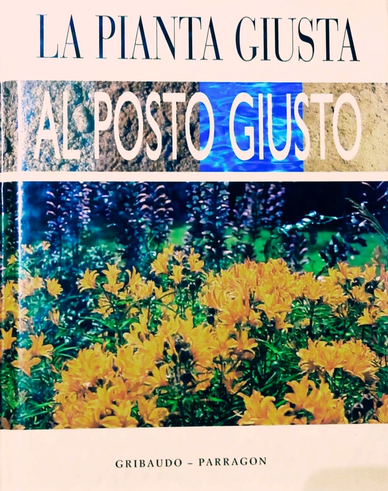 La pianta giusta al posto giusto