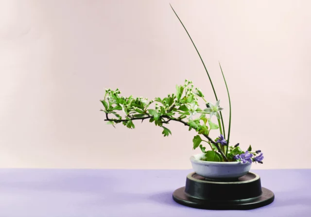 Ikebana, essenziale semplicitÃ 