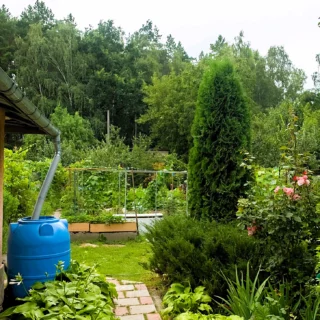 Giardino zero waste