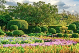 Potature in forma obbligata in un giardino inglese