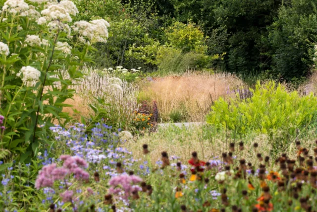 Giardiniere essere o fare