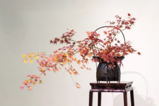 Anche semplici rami di acero possono creare arte. È la meraviglia dell'ikebana...