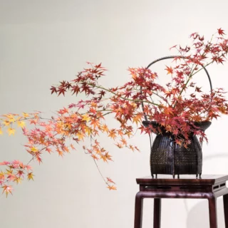 Anche semplici rami di acero possono creare arte. È la meraviglia dell'ikebana...