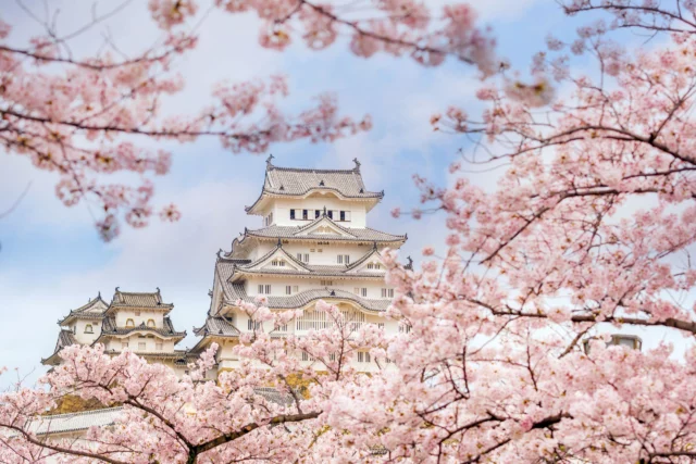 Particolare del giardino del Castello di Himeji