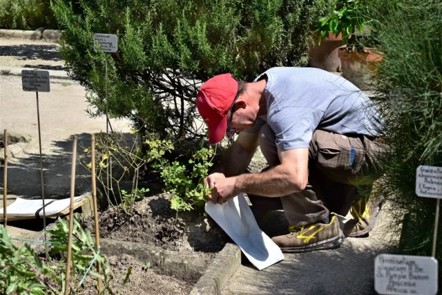 Orto Botanico di Padova: si raccolgono i semi, il patrimonio piÃ¹ importante