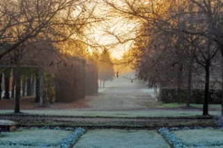 Il giardino e la brina