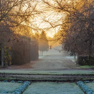 Il giardino e la brina