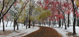 Autunno sotto la neve: alla scoperta delle più belle montagne della Corea del Sud