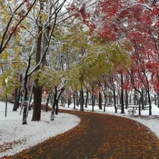 Autunno sotto la neve: alla scoperta delle più belle montagne della Corea del Sud