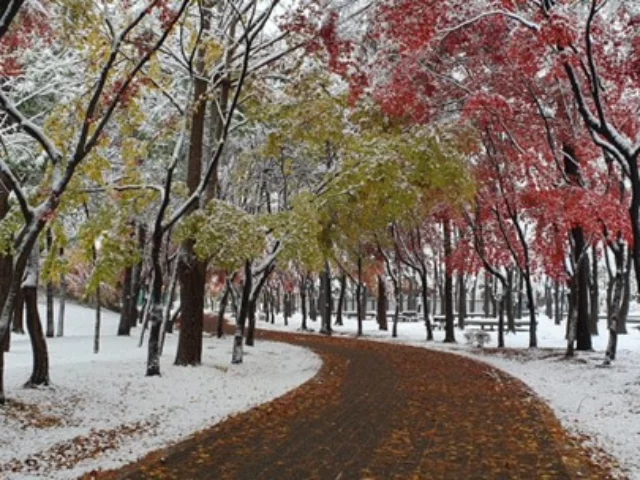 Autunno sotto la neve: alla scoperta delle più belle montagne della Corea del Sud