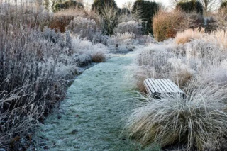 Il giardino in inverno