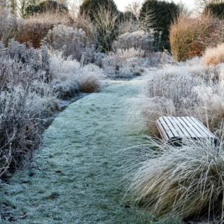 Il giardino in inverno