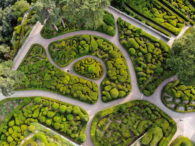 Foto aerea del parterre