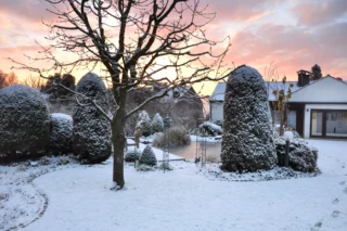 Il giardino in inverno