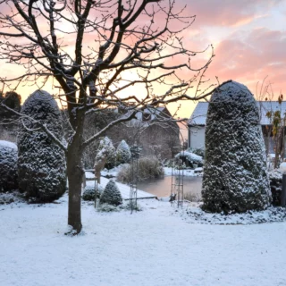 Il giardino in inverno