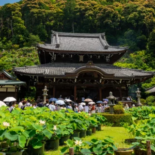 Il Tempio Mimuroto-ji