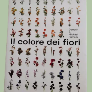 Il colore dei fiori