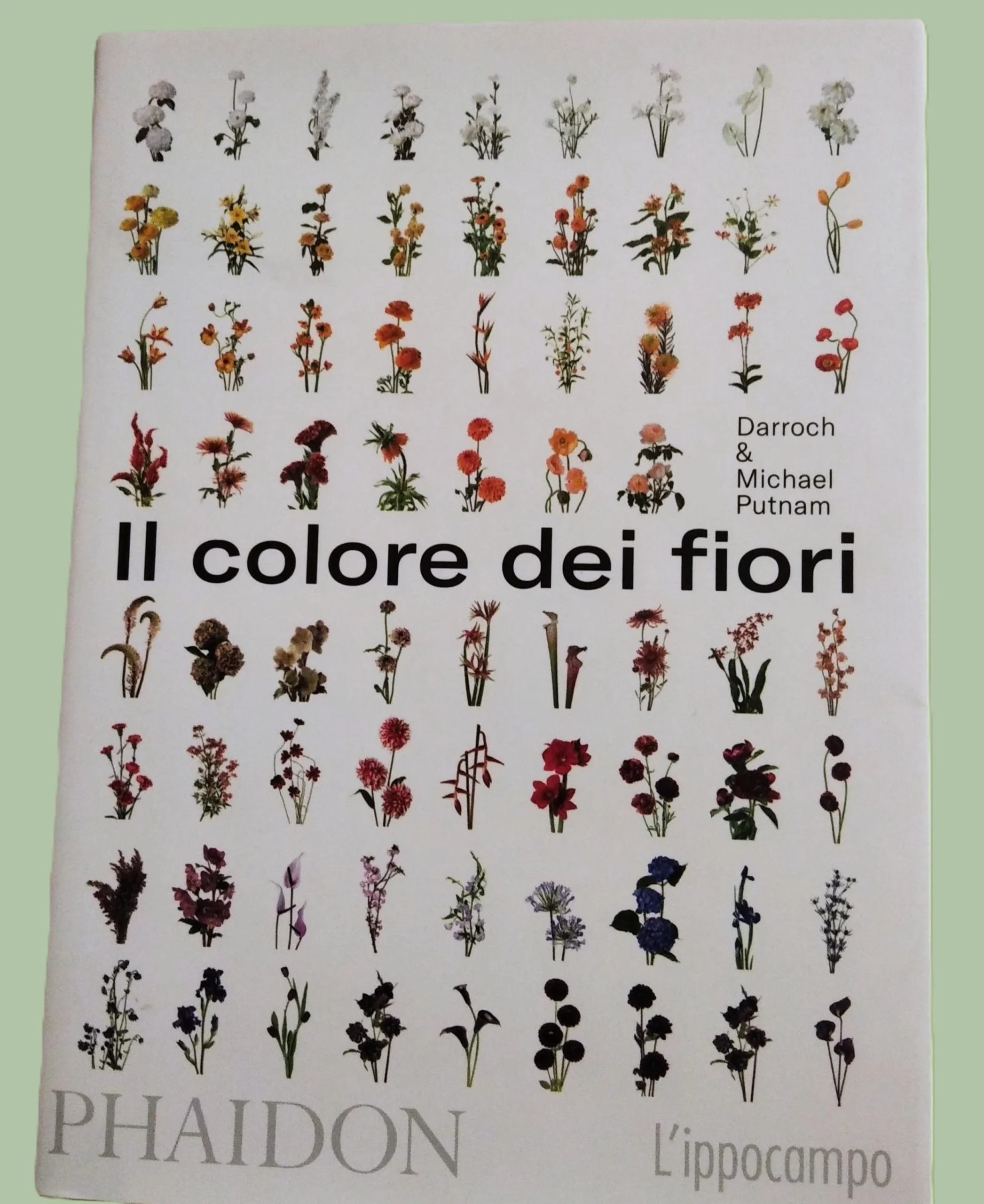 Il colore dei fiori