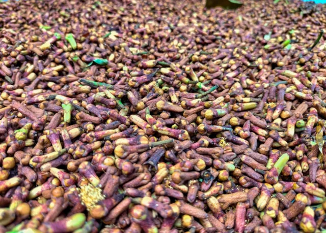 Chiodi di garofano benefici