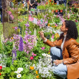 Tre Giorni per il Giardino, Parco del Castello di Masino