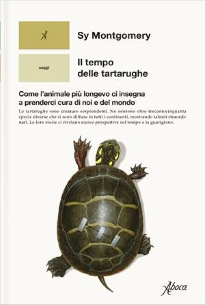 Sy Montgomery Il tempo delle tartarughe Come l’animale più longevo ci insegna a prenderci cura di noi e del mondo