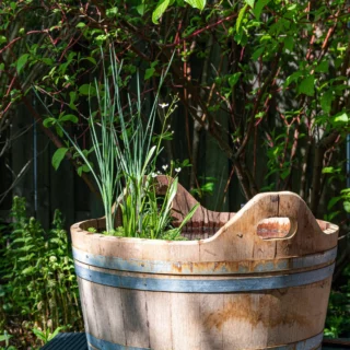 Il minipond: una biotrappola in Giardino