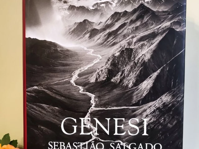 Libro Genesi di Sebastião Salgado